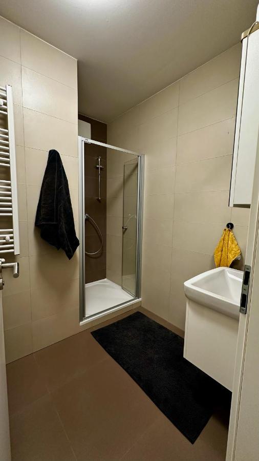 Lux Radnica Appartment Center- Free Parking โกชิเซ ภายนอก รูปภาพ